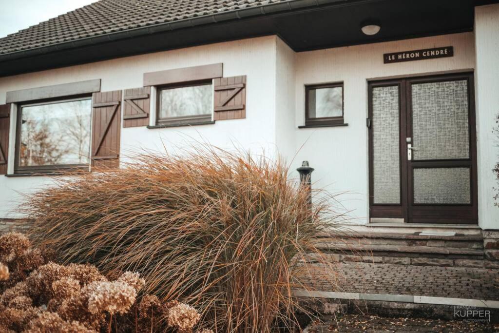 Le Heron 28Pers, Malmedy- Home Cinema, Balneo, Sauna, Jardin Kültér fotó