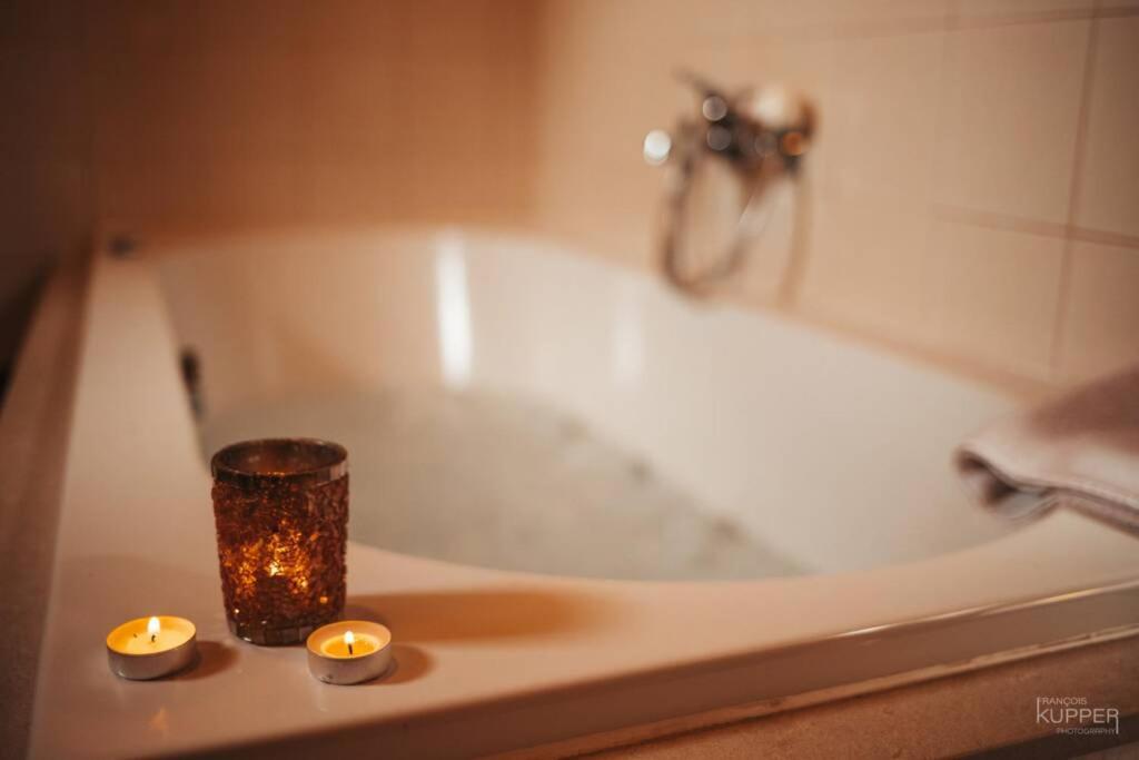 Le Heron 28Pers, Malmedy- Home Cinema, Balneo, Sauna, Jardin Kültér fotó